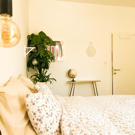 Appartement Op Top Locatie In Antwerpen 外观 照片